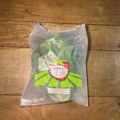 Lettuce Cos