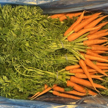Carrots Bunched
