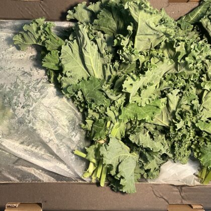 Kale  Bunched