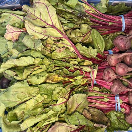 Beetroot bunched with tops