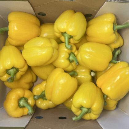 Peppers Yellow