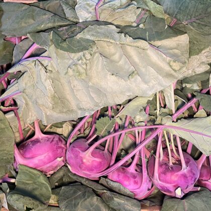 Kohl Rabi Purple With Tops
