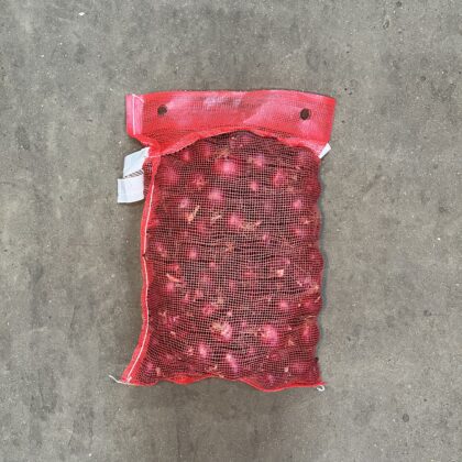 Onions Red 60/80