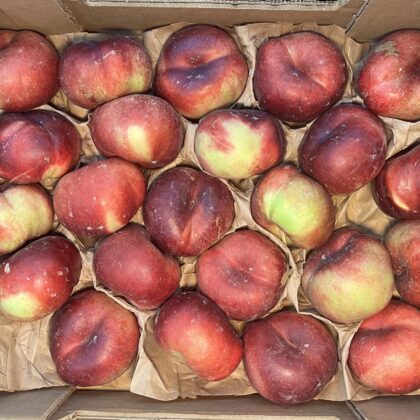 Nectarines Flat
