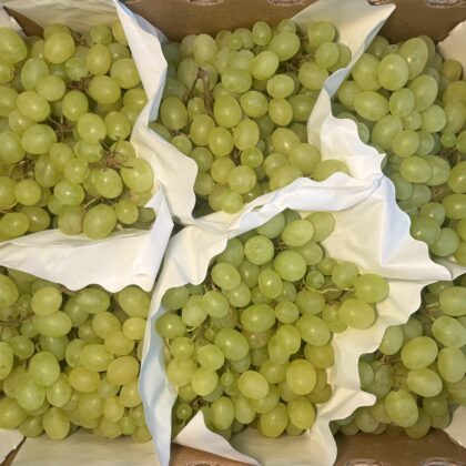 Grapes White Seedless