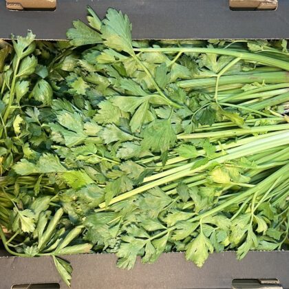 Celery  Juicing With Tops