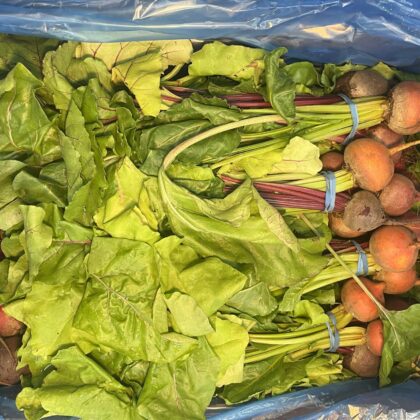 Beetroot Bunched Rainbow With Tops