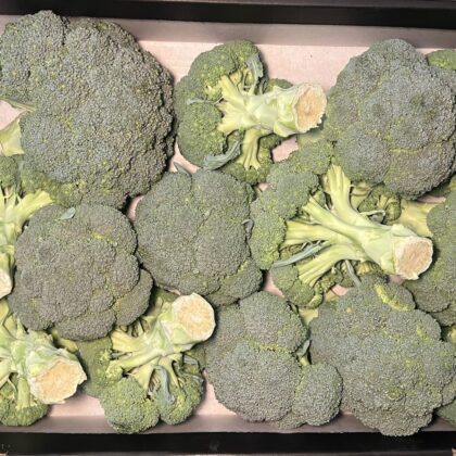Broccoli