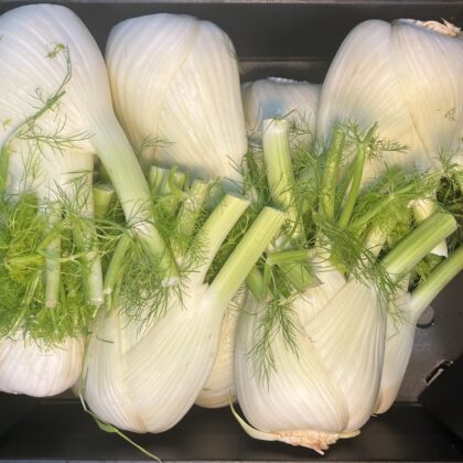 Fennel