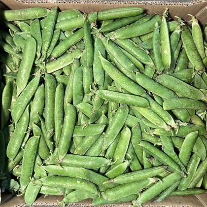 Garden Peas