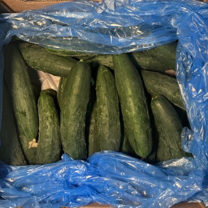 Cucumber Mini Ridge