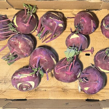 Kohl Rabi Purple