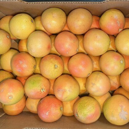 Grapefruit Star Ruby Red