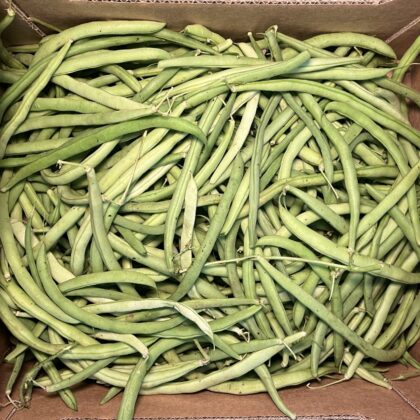 French Beans