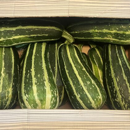 Marrow