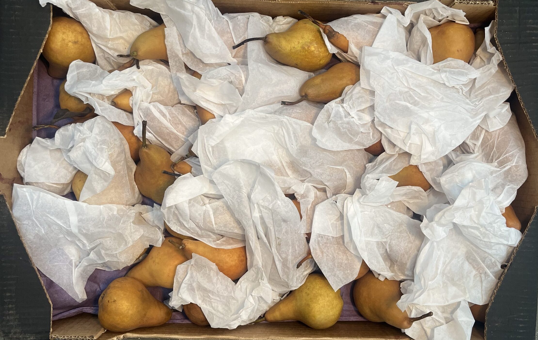 Pears Golden Bosc Small Box
