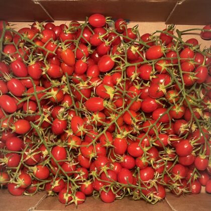 Tomatoes Cherry Plum Vine