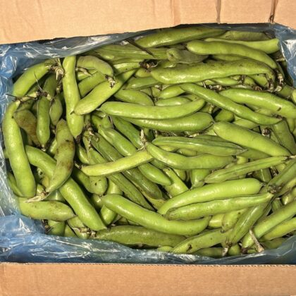 Broad Beans