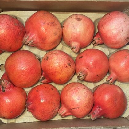Pomegranate