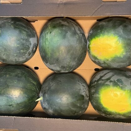 Watermelons