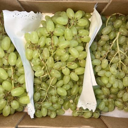 Grapes White Seedless Arra