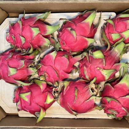 Pitaya Dragon Fruit Small
