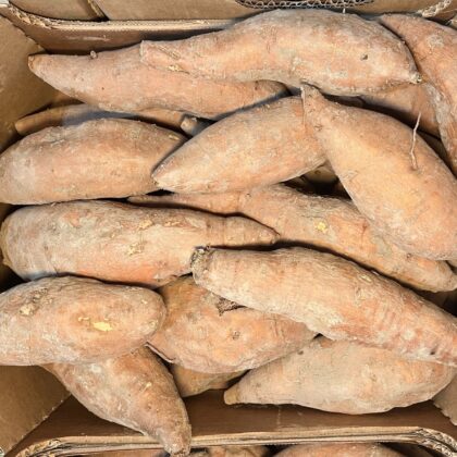 Sweet Potatoes