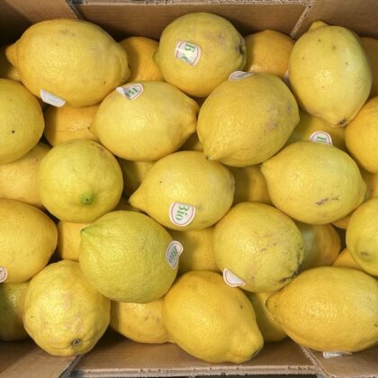 Lemon Verna