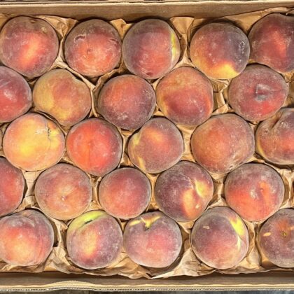 Peach