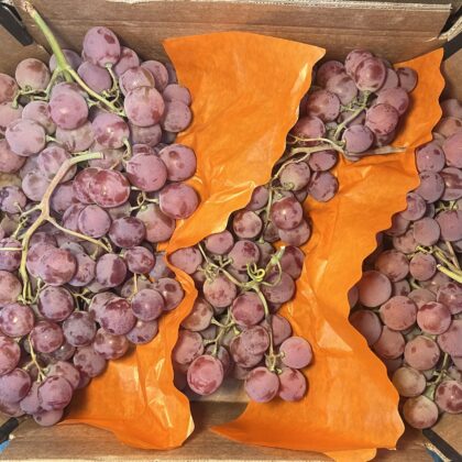 Grapes Red Globe
