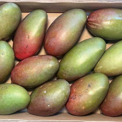 Mango Osteen