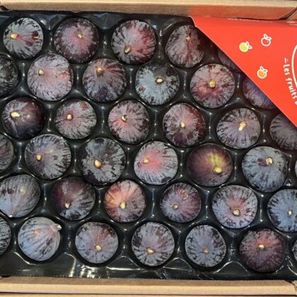 Figs Black Bourjassette Large