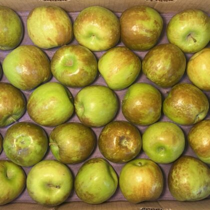 Apples Green Juicing