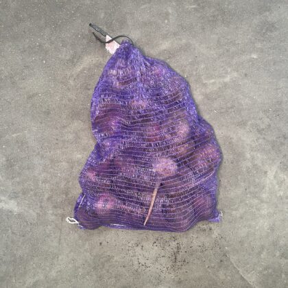 Beetroot Chioggia Loose