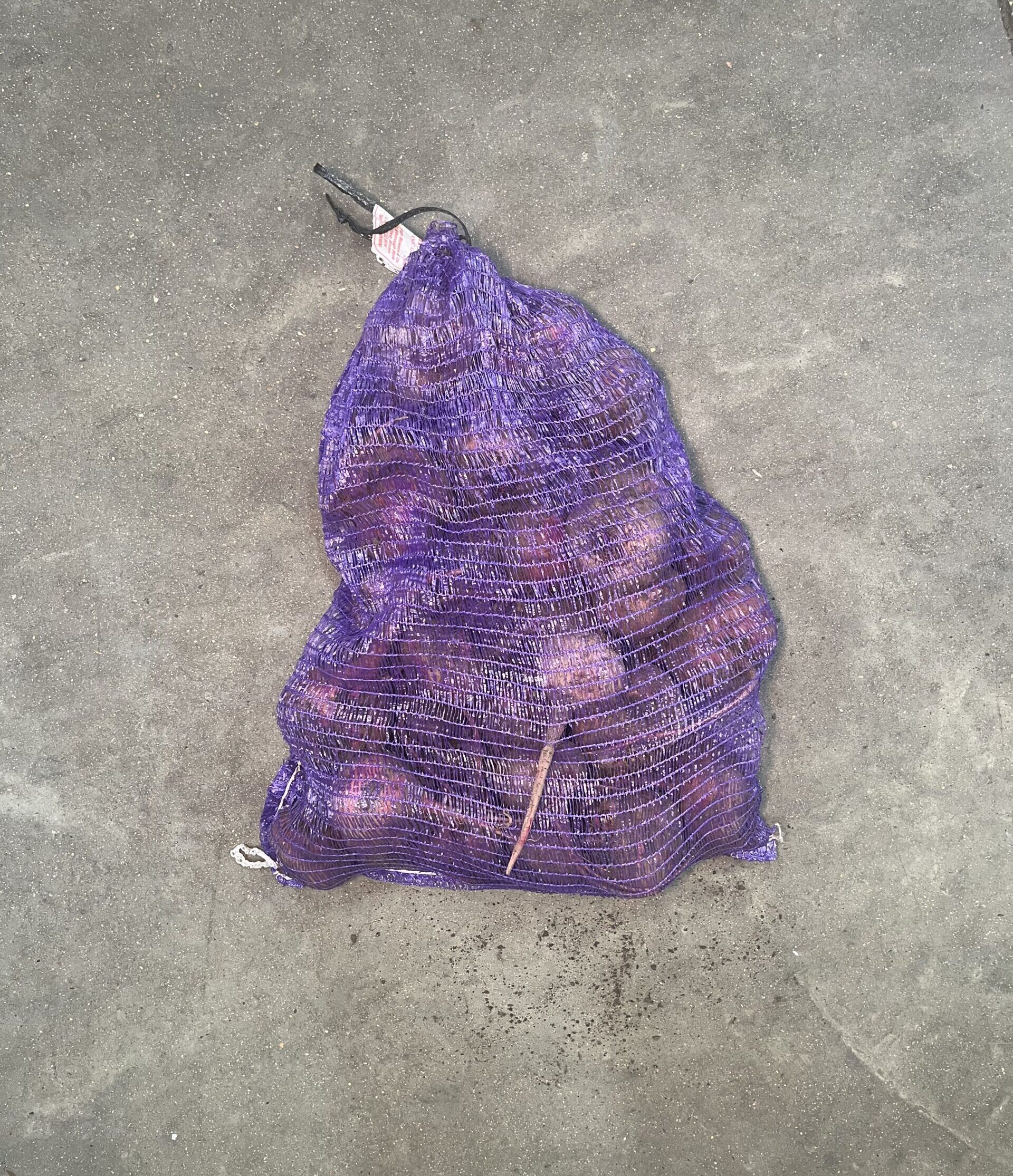 Beetroot Chioggia Loose