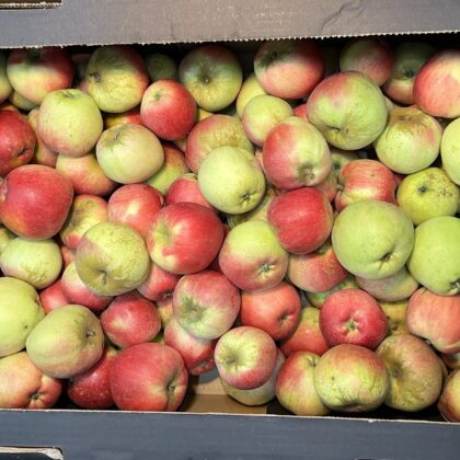 Apples Worcester Pearmain