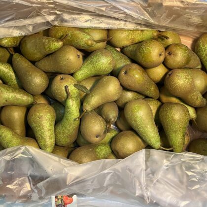 Pears Conference