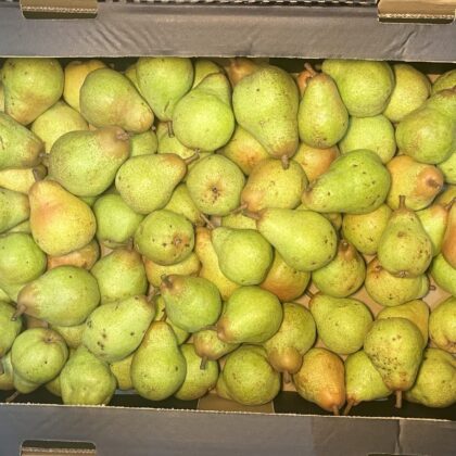 Pears Williams