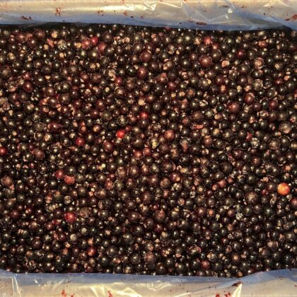 Frozen Blackcurrants