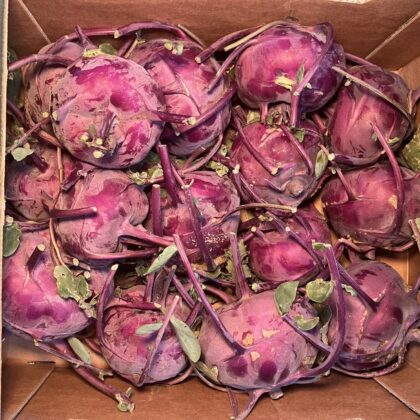 Kohl Rabi Purple