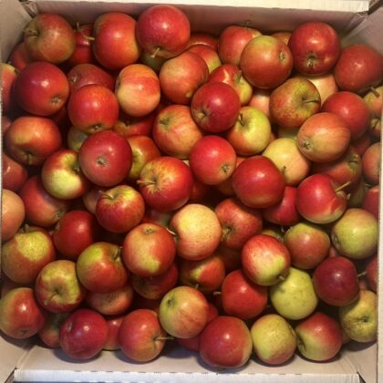 Apples Scrumptious Small Mole End