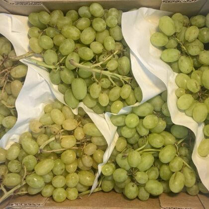 Grapes White Sugar Seedless