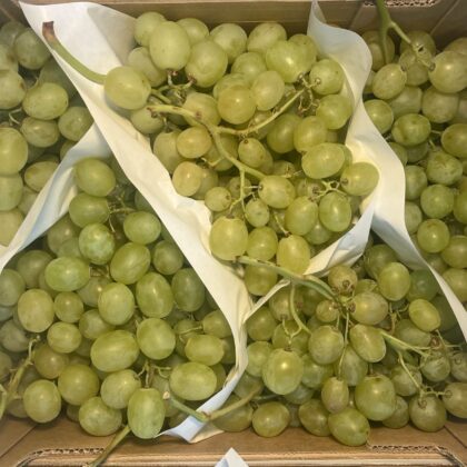 Grapes White Italia