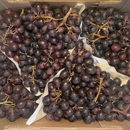 Grapes Black Seedless