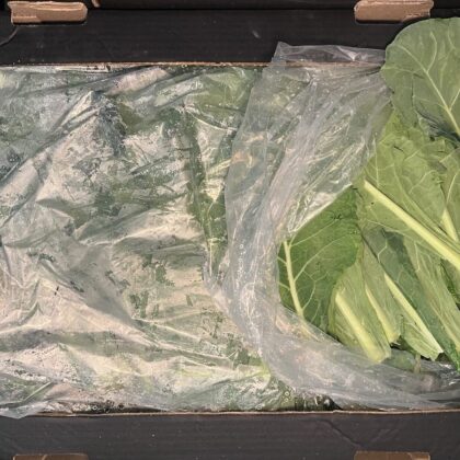 Cabbage Collard Greens