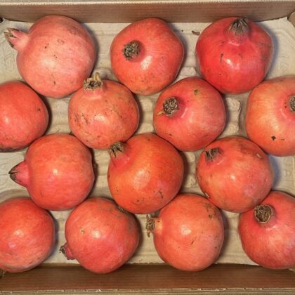 Pomegranate