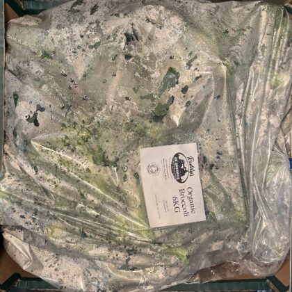 Broccoli Small Box