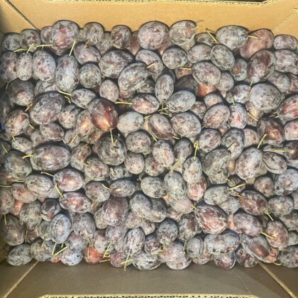 Plums Presenta