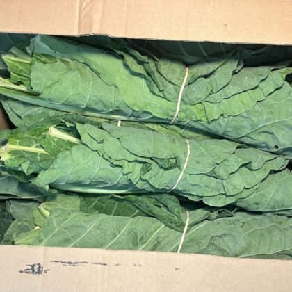 Cabbage Collard Rolls