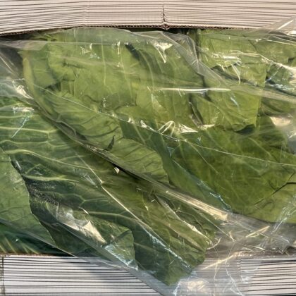 Cabbage Spring Greens
